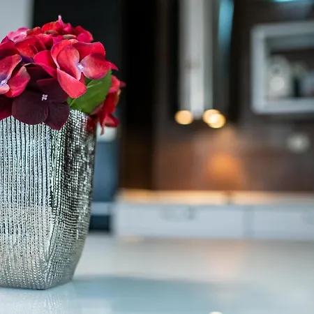 Apartment Pantera Nera Luxury Apartment *